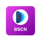 Buy Presale Article on BSC.News