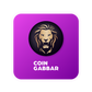 Press Release on Coin Gabbar