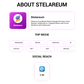 Stelareum Presale Article Service Web3newswire